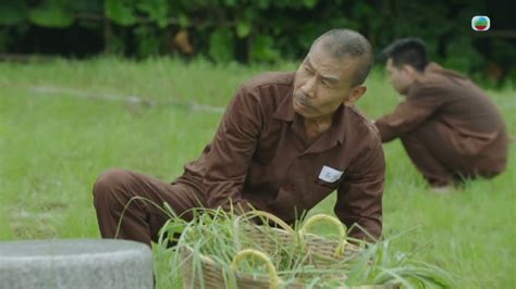 69歲張雷罕現tvb劇參演《逆天2》！創港式飛車特技曾是全港冠軍 拍拖40年先做人夫 星島日報