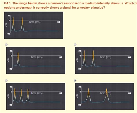 Solved Q4 1 The Image Below Shows A Neuron S Response To A Chegg