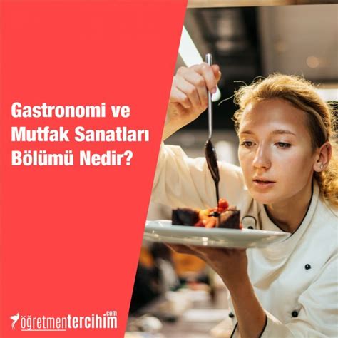 Blog Gastronomi Nedir Blog Movie