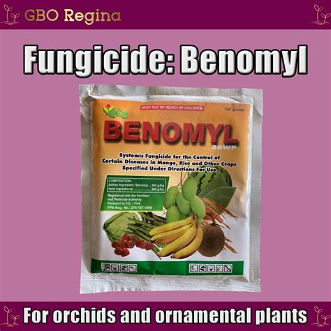 Plant Supplement Fungicide Benomyl 100g Lazada PH