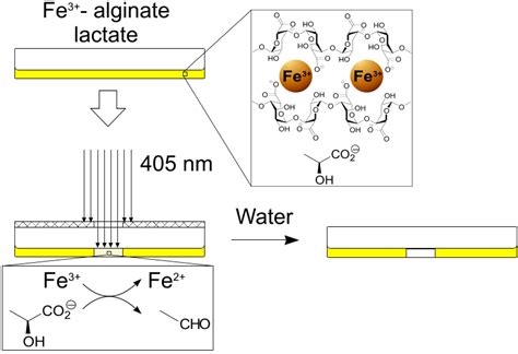 Processes Free Full Text Photochemical Patterning Of Ionically