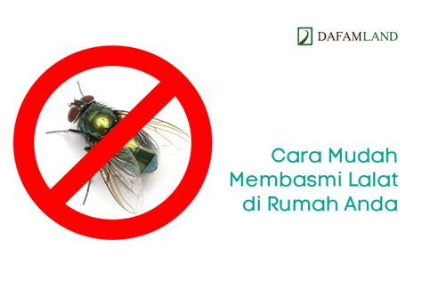 Mencegah Lalat Masuk Rumah