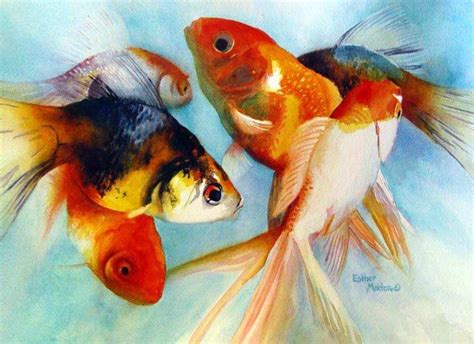 Goldfish Varieties: A Brief Look at 15 Popular Types - PetHelpful