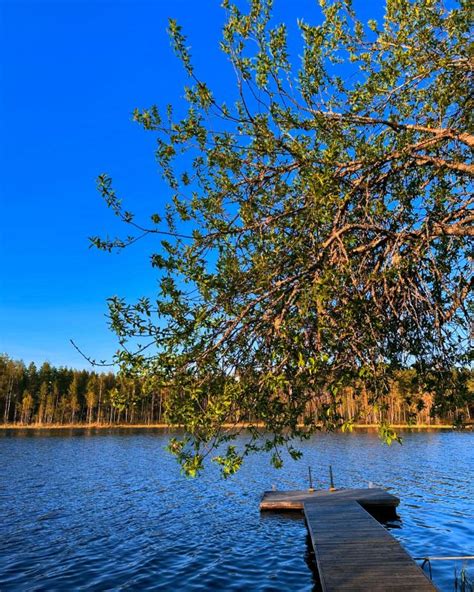 Kotiel Inpihan Henkil Kunta El Inklinikka Takala Oy