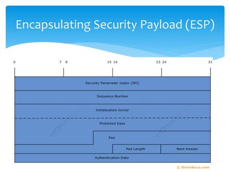 Ipv6 The Next Next Generation Protocol Ppt