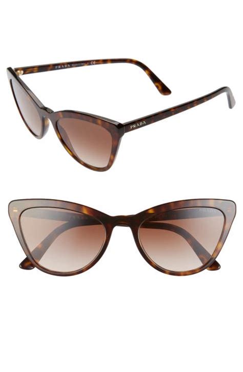 Womens Prada Cat Eye Sunglasses Nordstrom