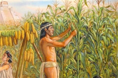 Origen De La Agricultura Evolución De La Agricultura En La Historia