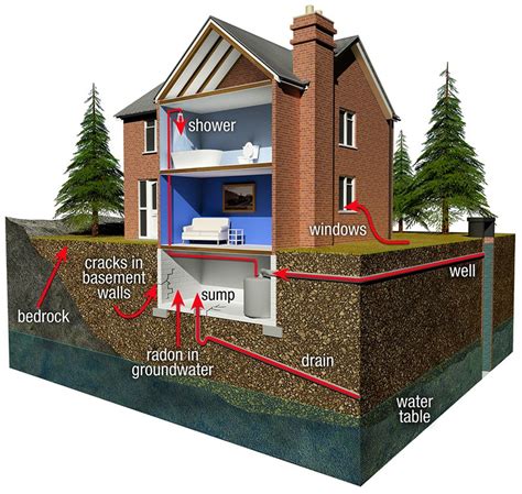 Radon Gas Long Term Test Kit Pro Lab