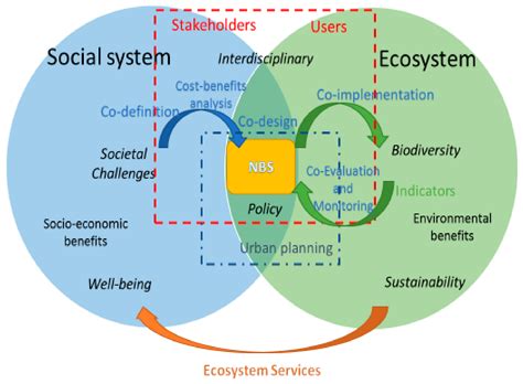 Sustainability Free Full Text Stakeholders Engagement On Nature