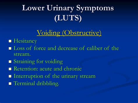 Ppt Lower Urinary Tract Symptoms Luts Powerpoint Presentation