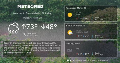 Crawfordville, FL Weather 14 days - Meteored