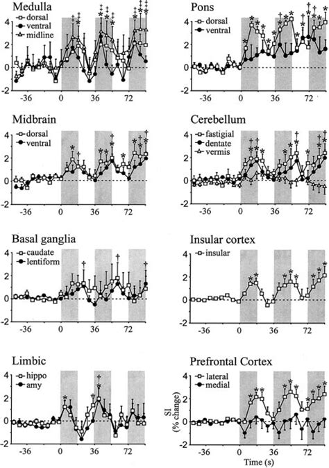 Averaged SE Time Trends Of Functional Magnetic Resonance Imaging