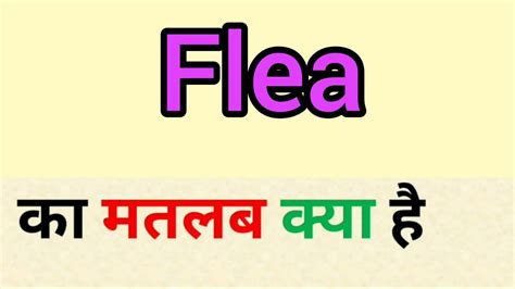 Flea Meaning In Hindi Flea Ka Matlab Kya Hota Hai Word Meaning