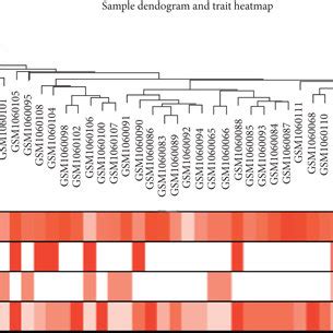 Construction Of The Weighted Gene Coexpression Network Analysis A