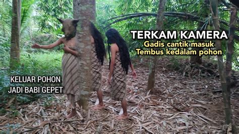 Detik Detik Wanita Cantik Masuk Tembus Kedalam Pohon Berubah Jadi Babi