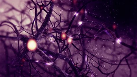 Neuron Wallpapers - 4k, HD Neuron Backgrounds on WallpaperBat