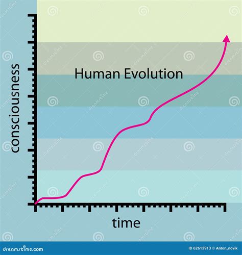 Chart Of Human Evolution