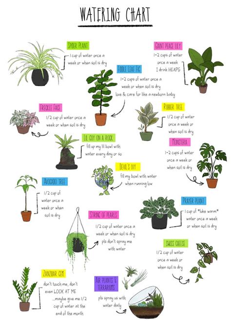 Houseplant Care Guide Printable