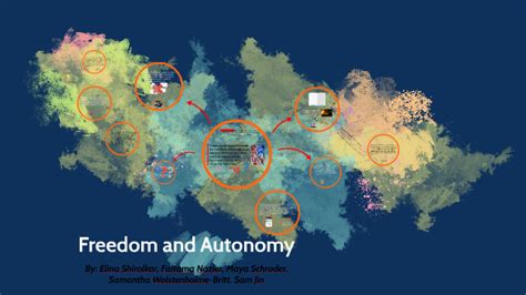 Freedom And Autonomy By Maya S