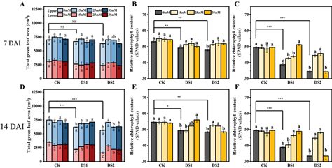 The Effects Of Exogenous Mg On A D Total Green Leaf Area B E Spad