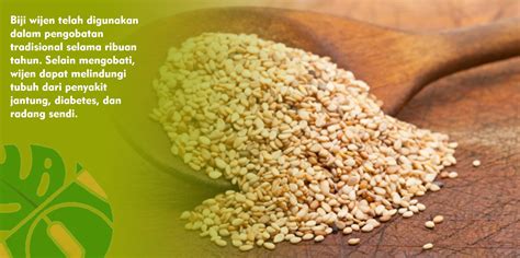 manfaat sehat wijen  memenuhi kebutuhan serat
