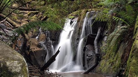 Olinda Falls - Yarra Ranges Accommodation