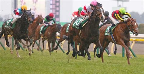 【京都記念・共同通信杯・北九州短距離ステーク2023予想】今週の無料競馬予想3連単6点勝負 ｜ 3連単6点勝負！競馬で夢を叶える！3連単競馬