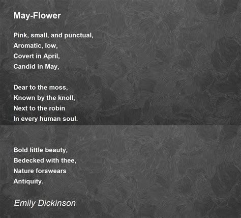 May Flower May Flower Poem By Emily Dickinson