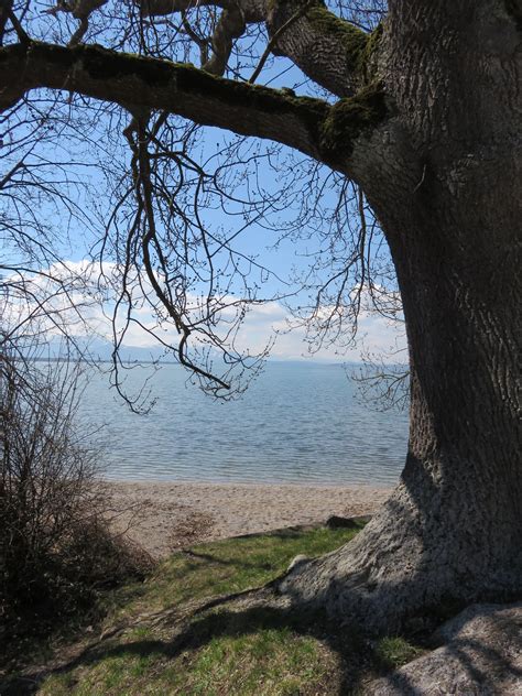 Free Images Landscape Tree Nature Rock Wilderness Branch Leaf