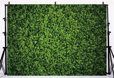 Buy Allenjoy X Ft Fabric Green Leaves Wall Backdrop For Photography