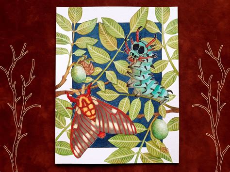 Royal Walnut Moth/regal Moth Art Print Watercolor Illustration Painting