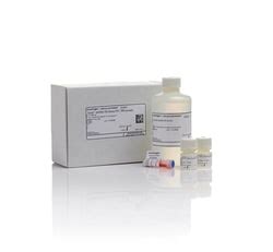 Invitrogen Qubit DsDNA Quantification Assay Kits 1 Kit Molecular