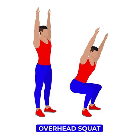 Vector Man Doing Overhead Squat Bodyweight Fitness Legs Workout