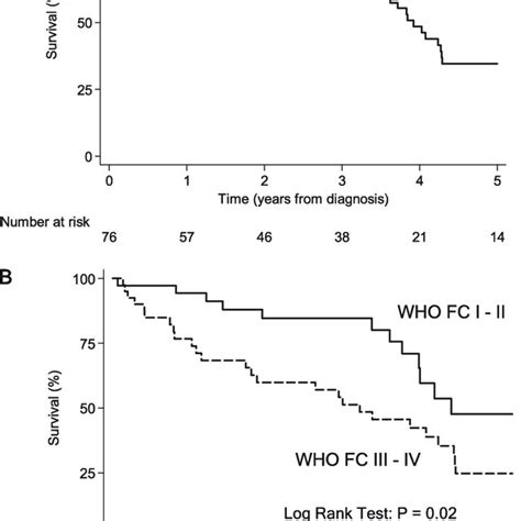 Survival Curves For All Patients And By World Health Organization Download Scientific Diagram