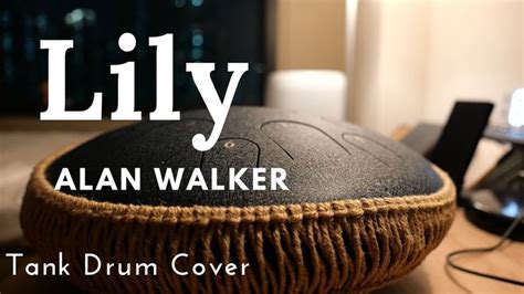 Lily Alan Walker Tank Drum Steel Tongue Drum Cover Drum Cover