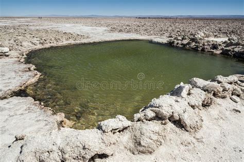 Salar De Atacama, the Largest Salt Flat in Chile Desert of the Atacama ...