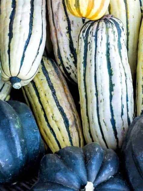 Winter Squash Varieties