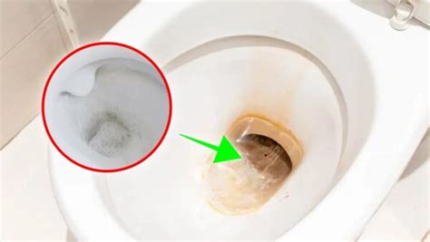 COMO tirar manchas de calcário do vaso sanitário 2 ingredientes de