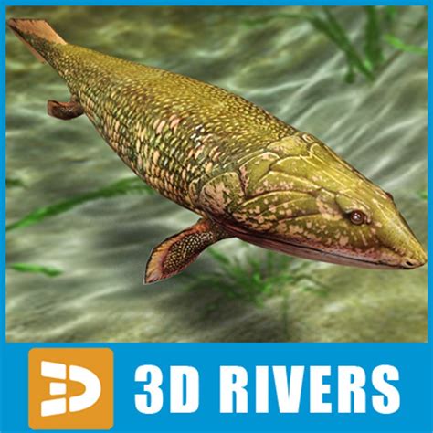 Maya Panderichthys Prehistoric Fish