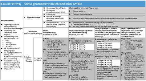 Krampfanfall Und Status Epilepticus Nerdfallmedizin