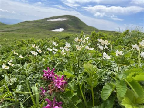 焼石岳・東焼石岳 Yさんの焼石岳・兎森山・鷲ヶ森山の活動データ Yamap ヤマップ