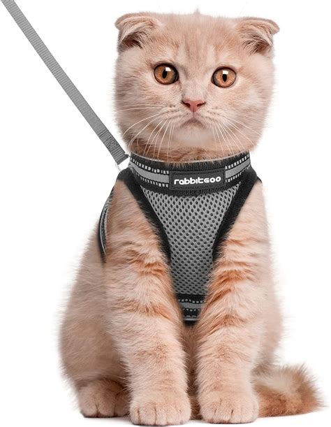 Pet Supplies Rabbitgoo Cat Harness And Leash Set For Walking Escape