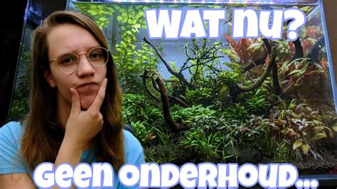 Ik Word GEOPEREERD Wat NU Met De AQUARIA Nickey YouTube