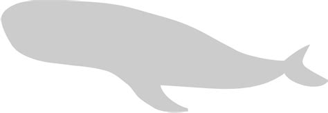 Whale 36637180 Vector Art at Vecteezy