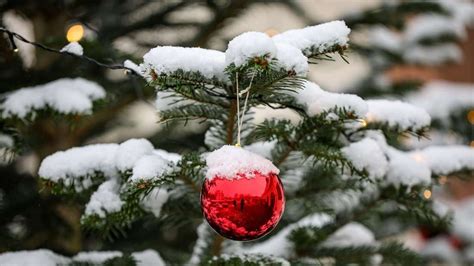 Wei E Weihnachten In Mittelgebirgen Und Alpen Soll Es Schneien