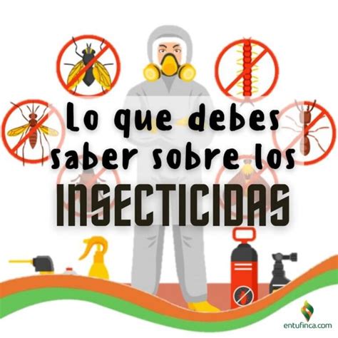 Lo Que Debes Saber Sobre Los Insecticidas Entufinca