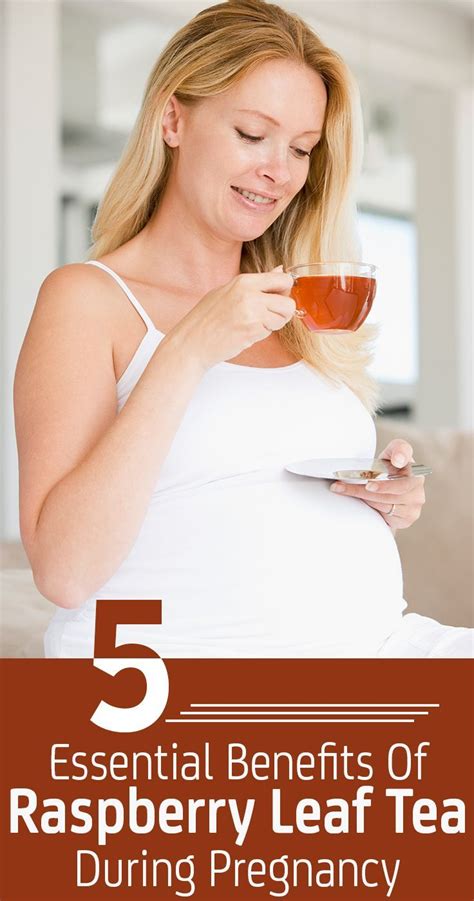 Are Raspberry Tea Evening Primrose Oil Safe To Induce Labor