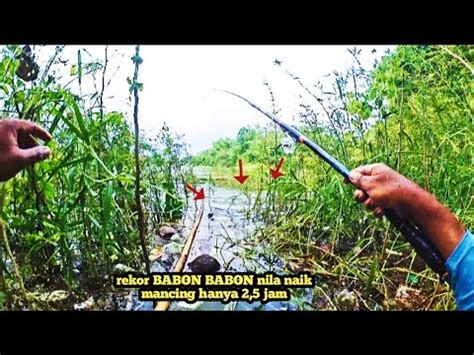 Asli Babon Superserasa Mancing Di Luar Negeri Mancing Nila Di Waduk