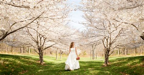 50 Top Places to Take Wedding Photos in the USA | Artsy Couture