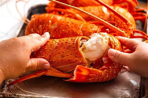 6 Fabulous Lobster Recipes! (crayfish) | RecipeTin Eats